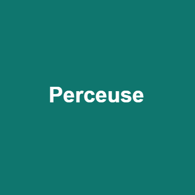 Perceuse Bosch 750W